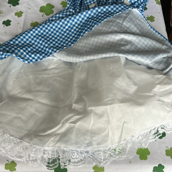 Oh Dorothy! 🌪️ 🏠🐕‍🦺 Dress and Ruby Slippers - Picture 4 of 9